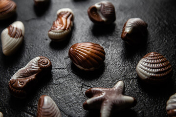 Chocolate candies in the shape of shells on a dark background