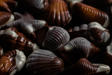 Chocolate candies in the shape of shells on a dark background