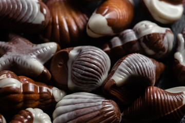 Chocolate candies in the shape of shells on a dark background