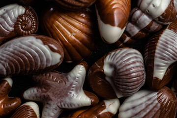 Chocolate candies in the shape of shells on a dark background