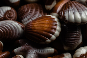 Chocolate candies in the shape of shells on a dark background
