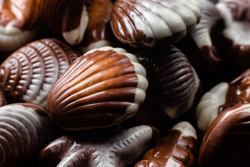 Chocolate candies in the shape of shells on a dark background