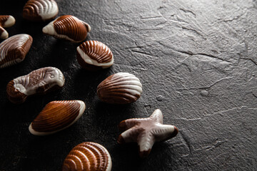 Chocolate candies in the shape of shells on a dark background