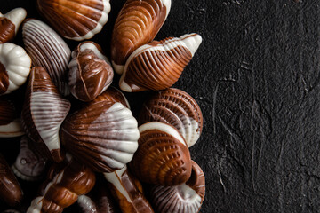 Chocolate candies in the shape of shells on a dark background