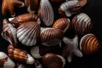 Chocolate candies in the shape of shells on a dark background
