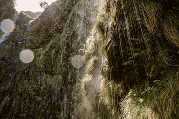 Madeira levada waterfall © Rafał Paluszek