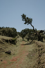 Madeira, Fanal
