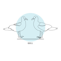 Pigeon and seagull isolated vector illustration, hand drawn outline