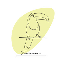Toucan bird on a branch. Vector illustration on a white background, outline, line drawing of a southern bird.