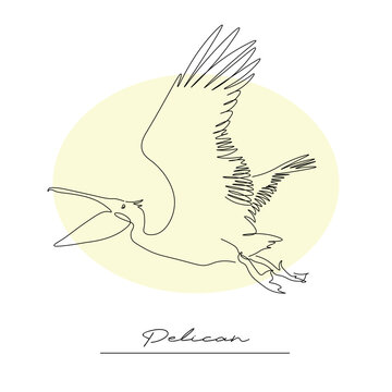exotic bird pelican, contour linear drawing