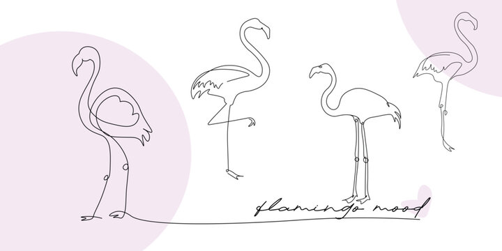Flamingo design illustration, south, resort, contour line drawing.