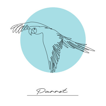 Collection of tropical parrots. Vector isolated elements on white background. Line drawing.