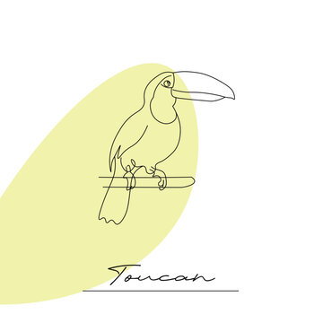 Toucan bird on a branch. Vector illustration on a white background, outline, line drawing of a southern bird.