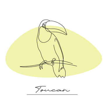Toucan bird on a branch. Vector illustration on a white background, outline, line drawing of a southern bird.