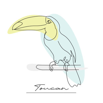 Toucan bird on a branch. Vector illustration on a white background, outline, line drawing of a southern bird.