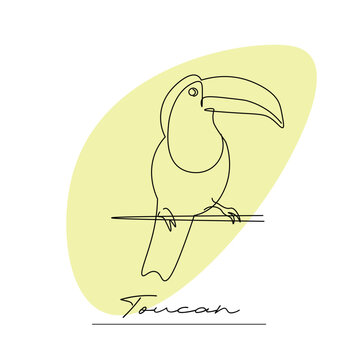 Toucan bird on a branch. Vector illustration on a white background, outline, line drawing of a southern bird.