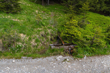 wooden fountain in alpine forest with floated water, Well trough with running water next to the path, flowered meadow on the side of the path, fountain surrounded with flowers, alpine well on panorama