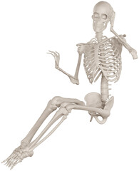 skeleton posing 3d render illustration with transparent background