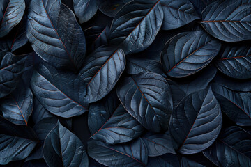 Close-up of dark, textured leaves with detailed veins and rich hues, creating a moody and dramatic botanical scene.