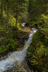 White water in the mountains, river rushes down between rocks through the forest into the valley. Meltwater and heavy rains bring a lot of water into the stream. landscape in hiking area