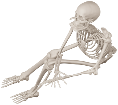 skeleton posing 3d render illustration with transparent background