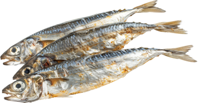 Dried Fish Clipart, png, di cut, cut out, isolated on transparent background