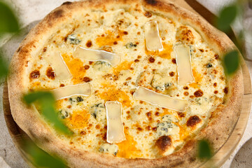 Delicious Four Cheese Pizza in Summer Sunlight with Shadows on Rustic Wooden Table