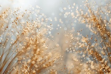 Obraz premium The Blurry Seed Sprinkle