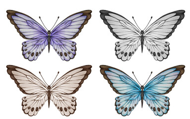 Watercolor Lavender Clipart illustrations set  