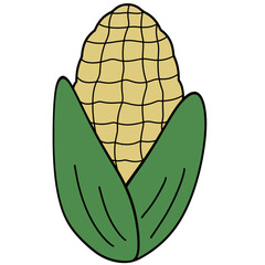 Corn