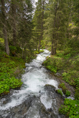 Waterfall between steep slopes, White water in the mountains, river rushes down between rocks through the forest into the valley. Meltwater and heavy rains bring a lot of water into the stream