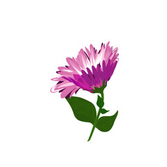 illustration of a pink flower icon blooming without a background