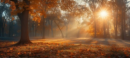 Autumn Sunset in the Park