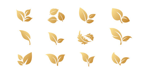 Leaf gold icons set 