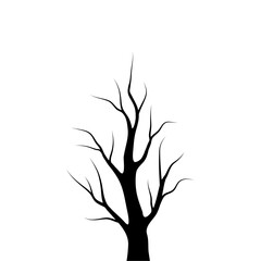 Fototapeta premium Bare Tree Silhouette