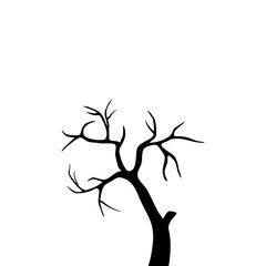Bare Tree Silhouette