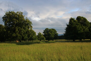 Phoenix park, dublin
