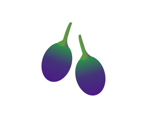 Set of two simple vector grapes with 3D effect, isolated on a transparent background - Grape illustration for decorative designs