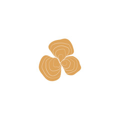 Reishi Mushroom Illustration 