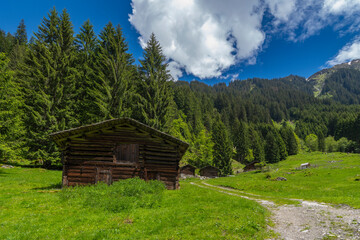 alpine houses on the edge of forest, wooden cabin next to the path, on the raodside, while hiking, we come across old alpine three stage farming huts, hiking in the mountains from Vorarlberg