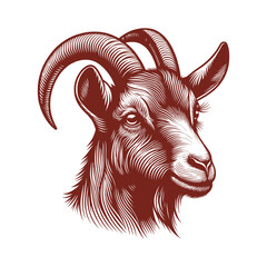 goat head Vector, goat vector illustration, goat head emblem design, Goat silhouette