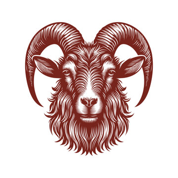 recommend clip art: goat head Vector, goat vector illustration, goat head emblem design, Goat silhouette
