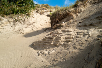 Baie de Authie coast, Berck, France