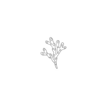Hand Drawn Fukus algae
