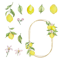 Obraz premium Gold frame with watercolor lemon, leaves and flowers