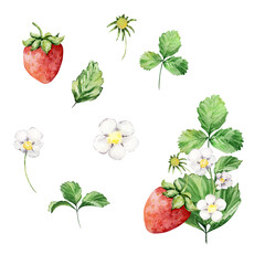 Watercolor strawberry bush with flowers and butterfly