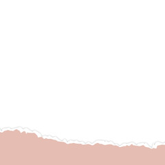 Obraz premium Torn Paper Footer