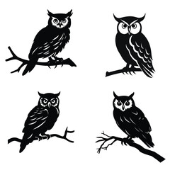 Fototapeta premium set of owl