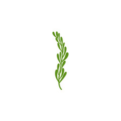 Fototapeta premium Rosemary Branch Icon Illustration 