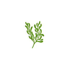 Naklejka premium Rosemary Branch Icon Illustration 